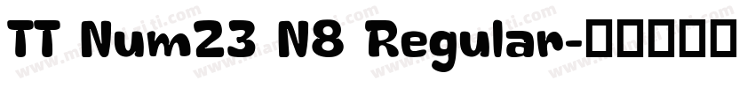 TT Num23 N8 Regular字体转换